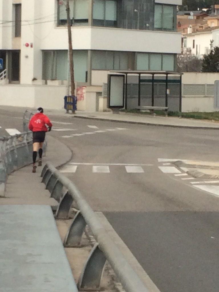 kLoughrantr's tweet image. Late afternoon run and agility session with @Reddingpower looking sharp!!! All over it!! @marcvdsracing