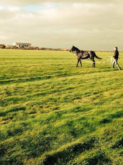 FellowesRacing's tweet photo. Pre-Season Training: Latest blog from St Gatien http://t.co/GirzwnuMZ8 #Newmarket #horseracing http://t.co/6ojpF9C7la