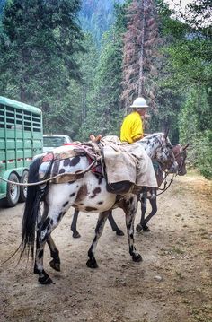 WildFire_Ops's tweet image. WildFireOps #JulyComplex Pack st dlvr.it/8WfgrX #WildFireOps