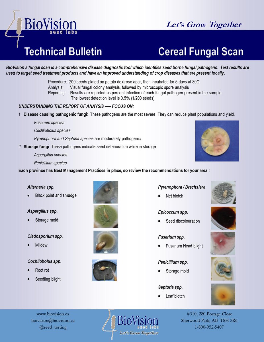 download the cerebellum and adaptive