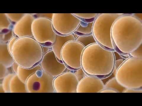 RanchKitchen's tweet image. Lose fat by freezing it away! vid.staged.com/jc2n #westernbathroom #luxurybath