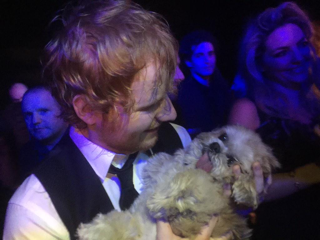 EdSheeranIT's tweet photo. #EdSheeranIsALivingGrammy http://t.co/5ELGudIhur