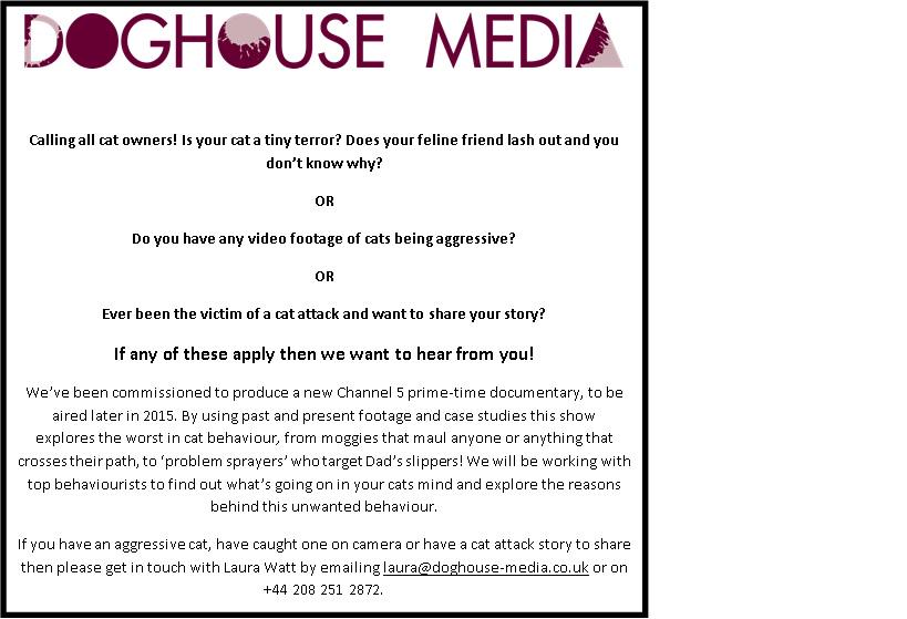 Angrycatshow's tweet photo. @etcasting We are looking for owners of aggressive #cats and #catvideos for a new cat behaviour documentary. Pls RT! http://t.co/EEBID8ORrJ