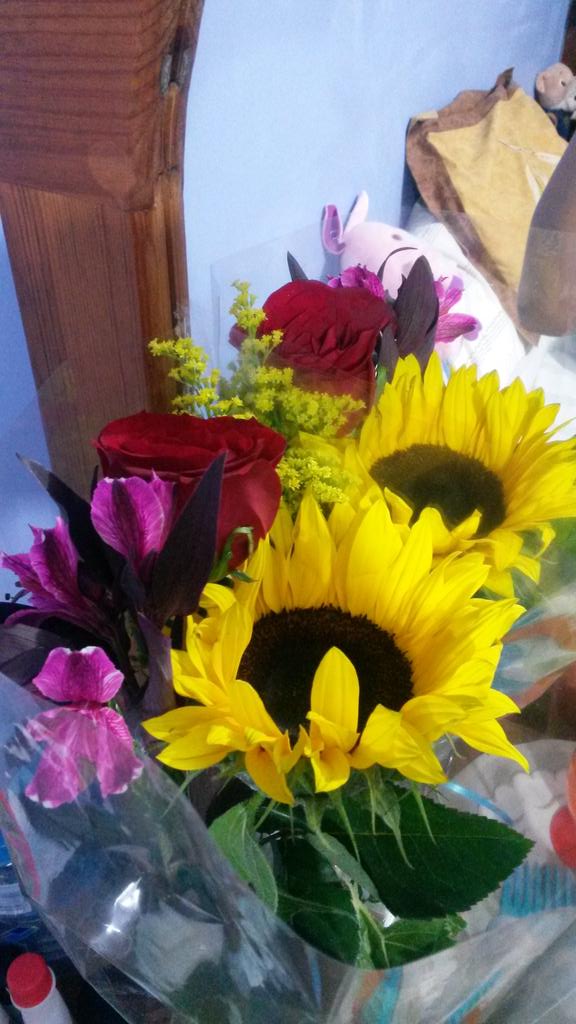 carla2475's tweet photo. Me encantan las sorpresas!! http://t.co/5pcp7d9fJn