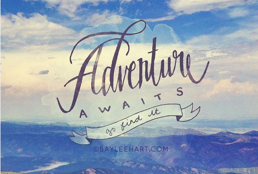 BlueBellTents's tweet image. Fed up with #normcore - let's get #altcore instead. #Adventure can teach you more than normal any day.