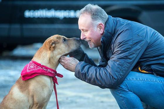 enews's tweet photo. The Shar-Pei who was abandoned at a train station gets the happy ending he deserves: http://t.co/rAa24KXZ1X http://t.co/QgyZe8FxtN