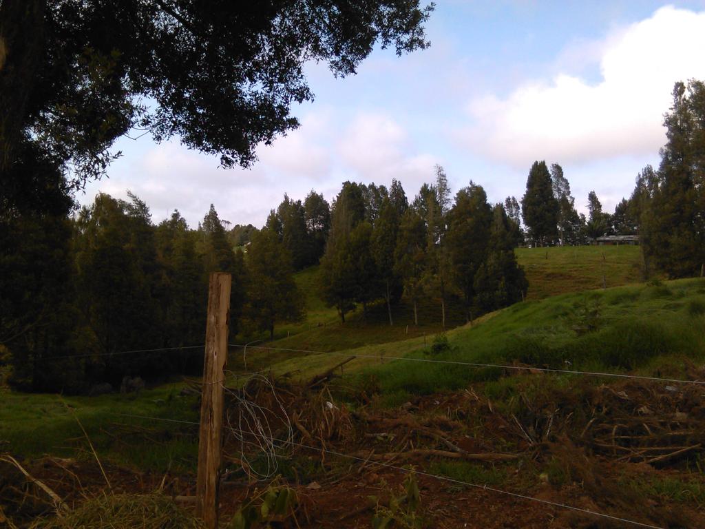 diegooolopez1's tweet photo. Hermosos paisajes tiene santa rosa http://t.co/71JZ8jwT6f