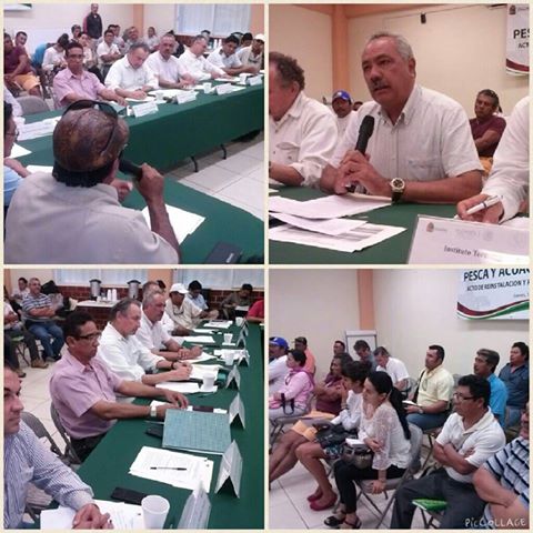 SEDE Quintana Roo tweet media
