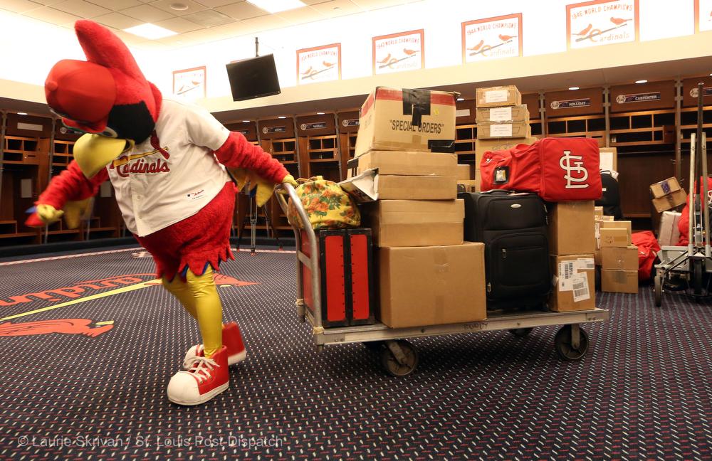 The1stRG3's tweet image. Getting ready for @Cardinals Spring Training is important but you cant sacrifice #Safety! #PushDontPull #SafeBird