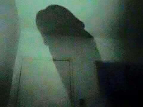 eegc10's tweet photo. La primera de las#CincuentaSombras jajajaja http://t.co/4XAjHdJA6A