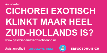 In de oorlog werd van dit plantje 'koffie' gemaakt...  geschiedenisvanzuidholland.nl/verhalen/erfgo…  #erfgoedverrijkt #wistjeniethe?