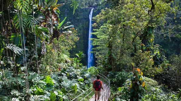 HyattsHawaii's tweet photo. RT @travelchannel: Discover the true spirit of the Hawaii: 5 things you must see, do and taste http://t.co/z7YWxK8hYW http://t.co/oL1MZAwHRb
