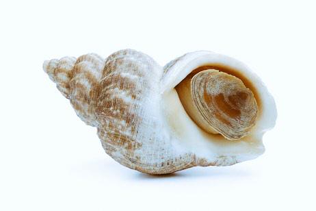 davidkorben's tweet image. Et aujourd'hui #thoen traite @nqtv de #bulot