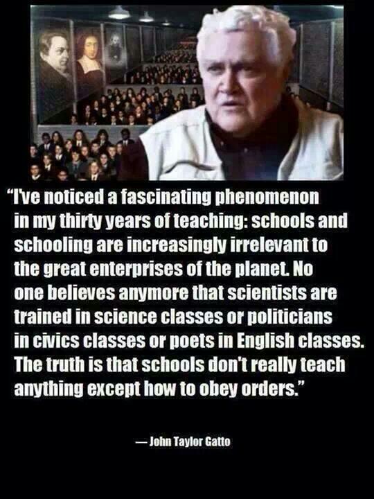 Chase Simpson tweet media