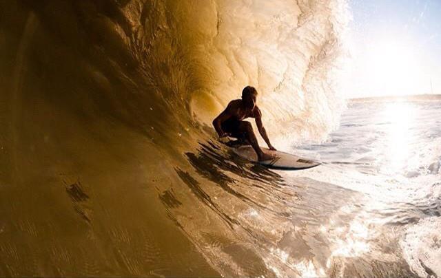 Surf City Surf Shop tweet media