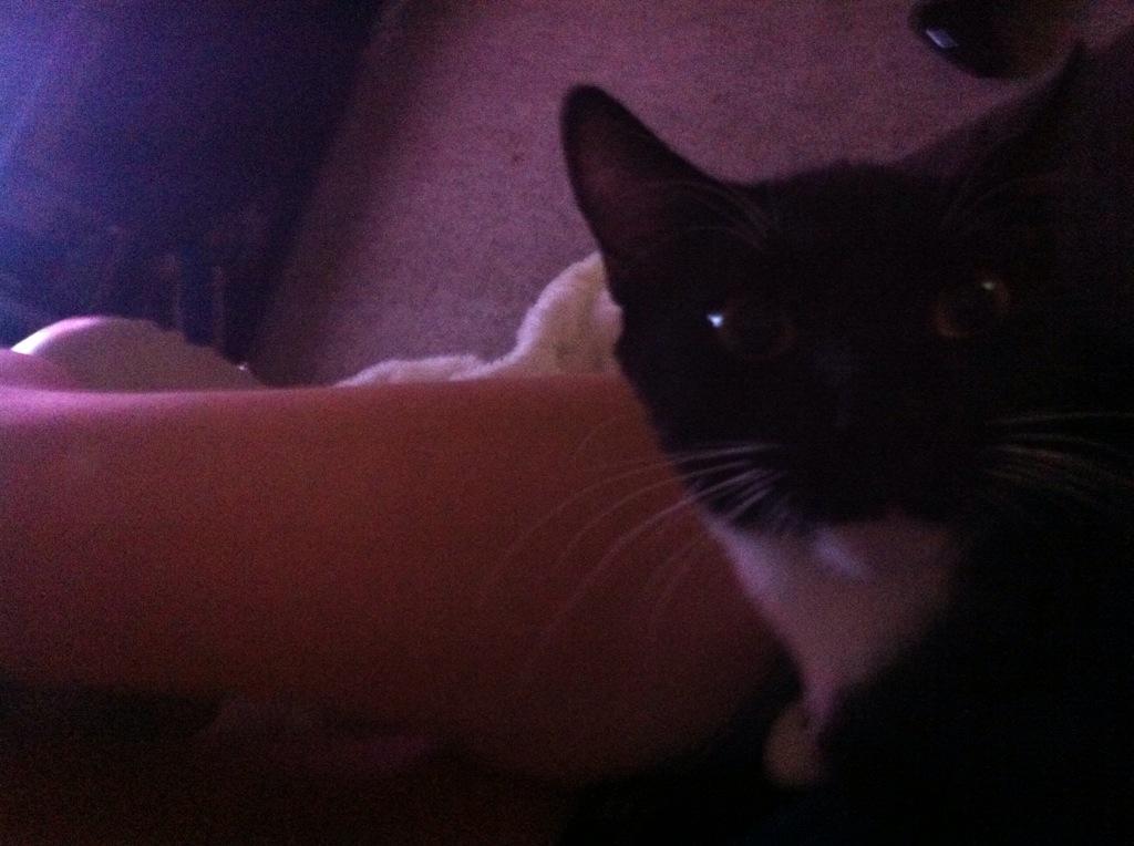 monkeymagic1972's tweet image. My loves