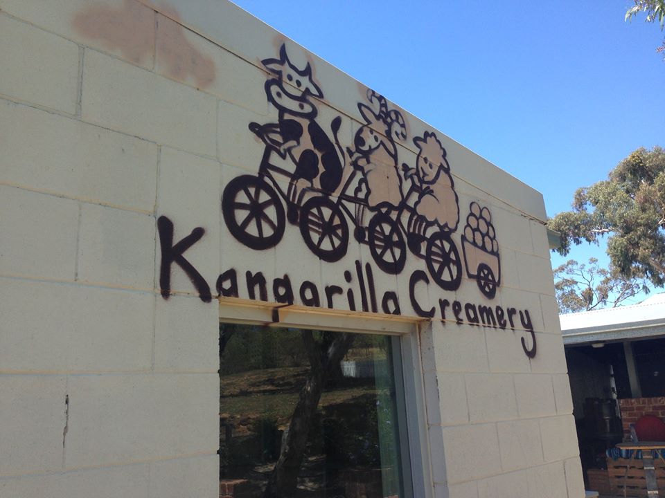 Alison Paxton is back! #KangarillaCreamery is getting set to re-open <a href="/MVWinemakers/">MV Winemakers</a> buff.ly/1AVlbaY