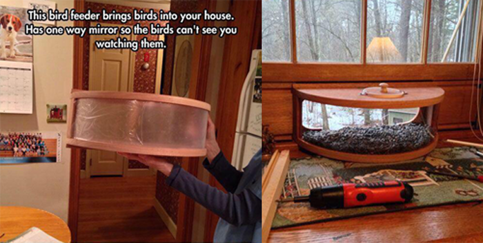 1000 Life Hacks On Twitter Diy One Way Mirror Bird Feeder Http