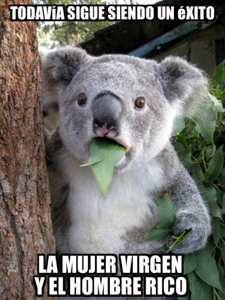 #50sombrasdeboluda