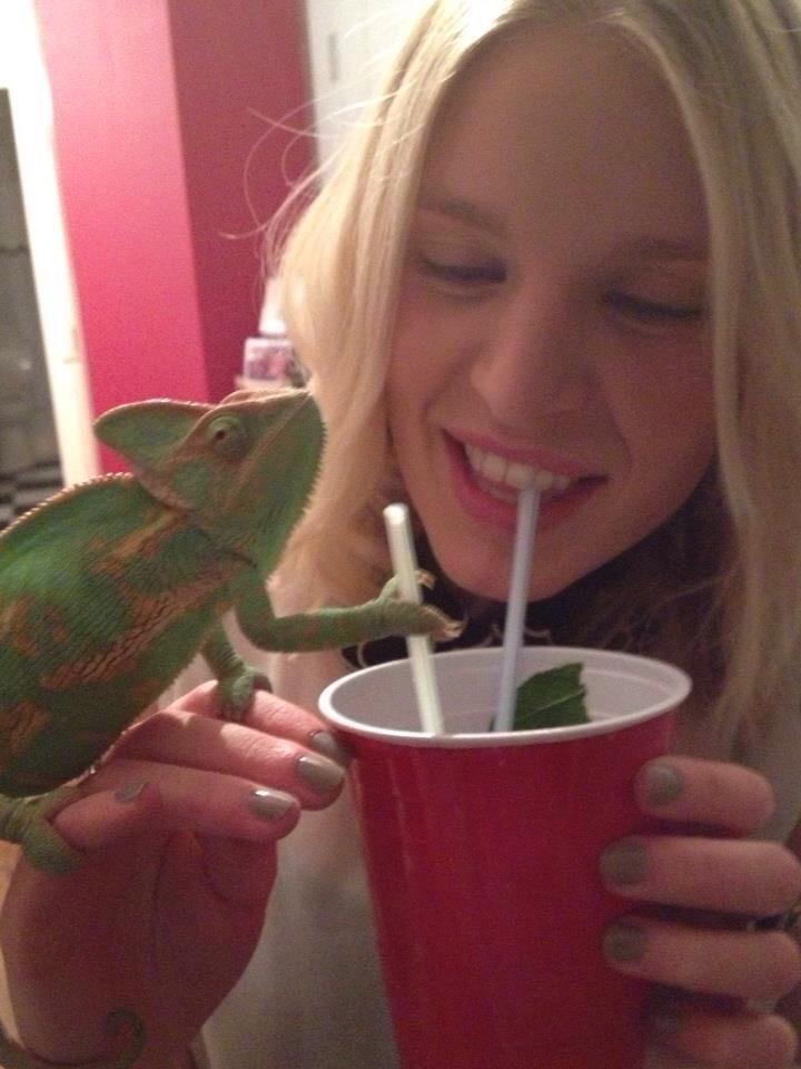 ClareWilliams86's tweet photo. @PetsatHome use Mojito for the name of #VIP3million she is a very friendly chameleon http://t.co/CgFri7s6MG