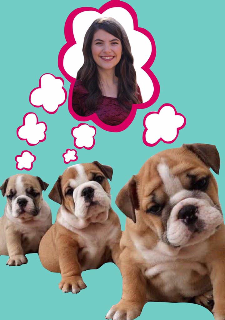 rachelhparnell's tweet photo. All the real dawgs have Ashton Braddock on their minds, and you should too! #backthatASHup and vote AB for VP! http://t.co/8YvnmOZOV7