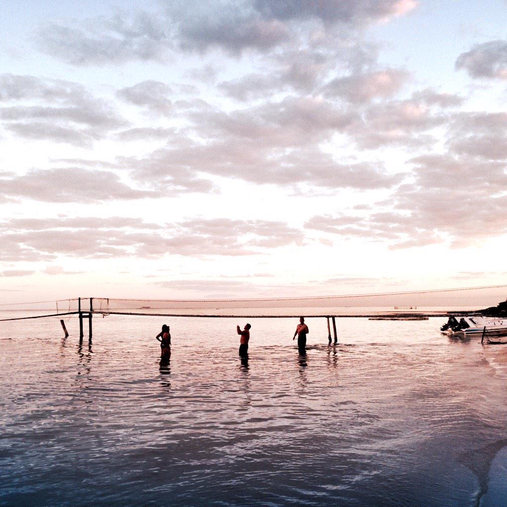 Cayendo la tarde en el uvero #majahual #trip #viajes #fotos #QuintanaRoo #atardecer #sunset #beach