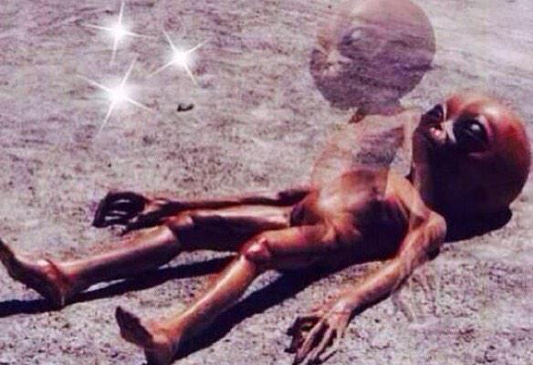 MarijuanaPics_'s tweet photo. When you realize how stoned you are. http://t.co/V2sde3hgy9