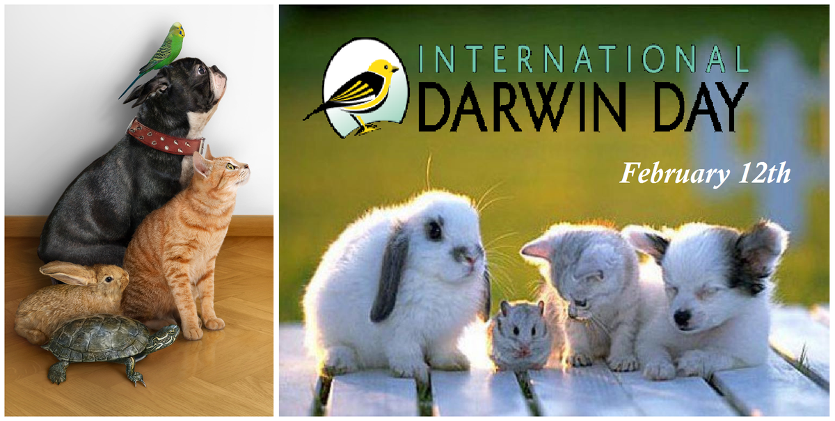 Ariana_May5's tweet image. Happy Darwin Day to everybody!!! 🎇✨ 🌟
#DarwinDay #EvolutionIsAFact
