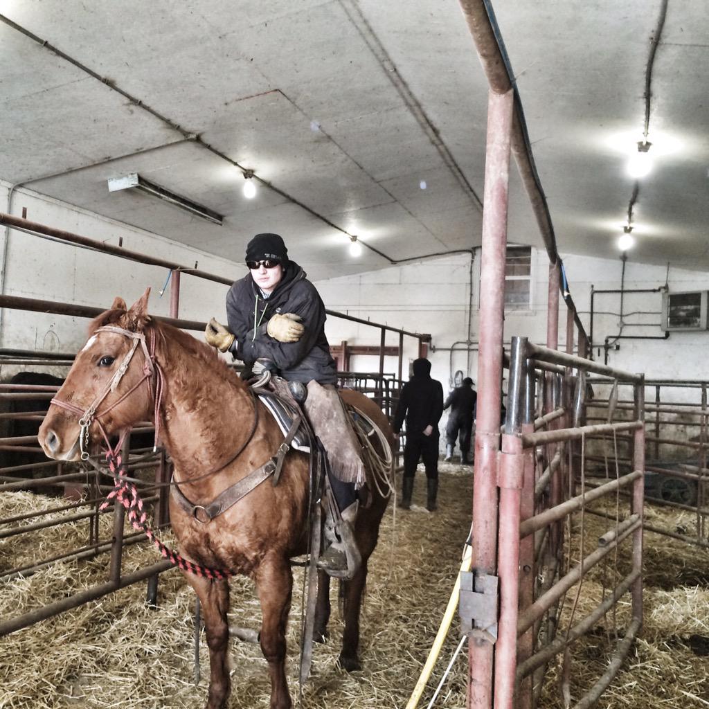 CodyCreelmanDVM's tweet image. A beautiful day at my favourite #Hutterite Colony #farm365 #agmorethanever