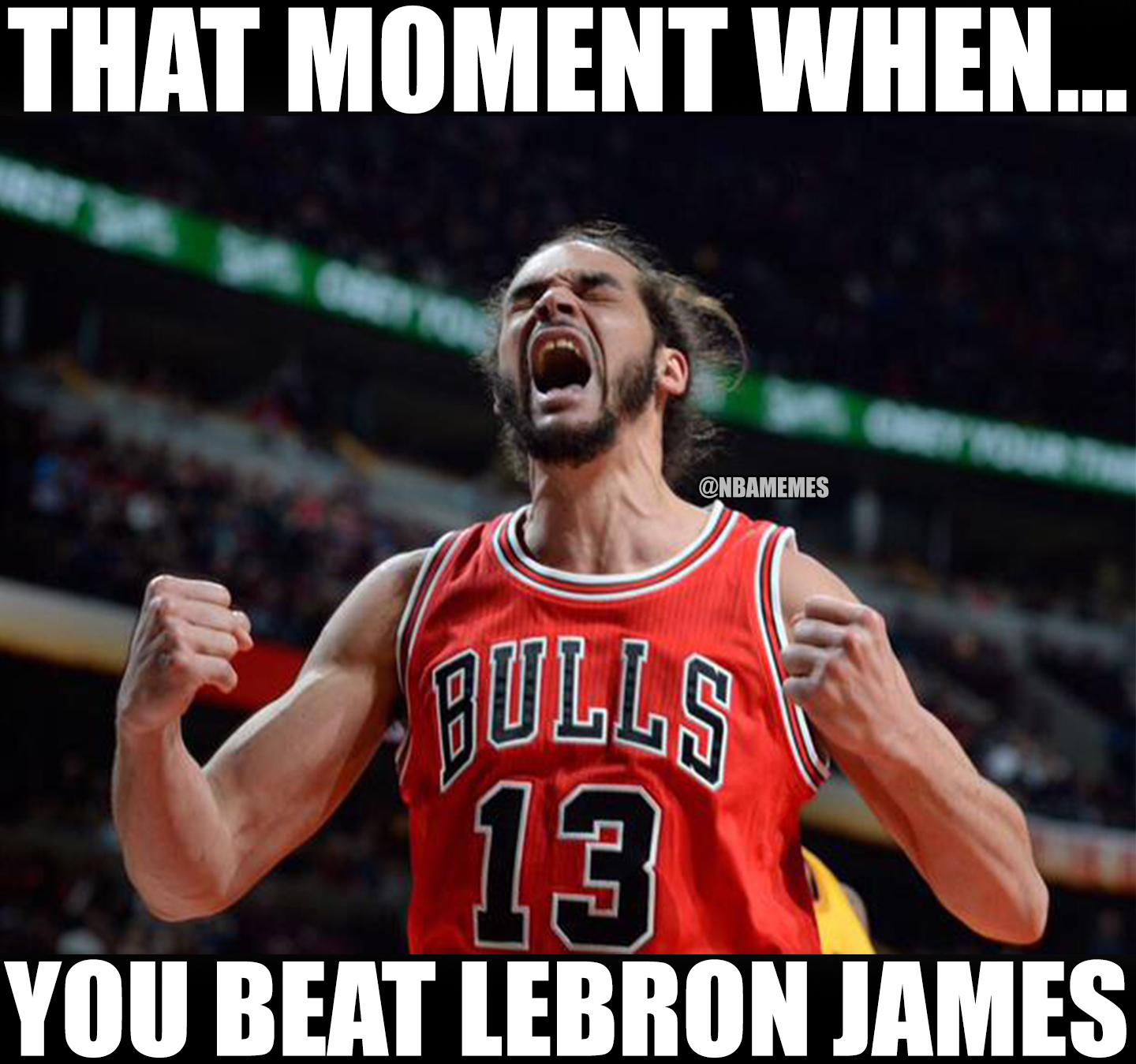 NBA Memes on Twitter: "The Chicago Bulls when they beat LeBron James