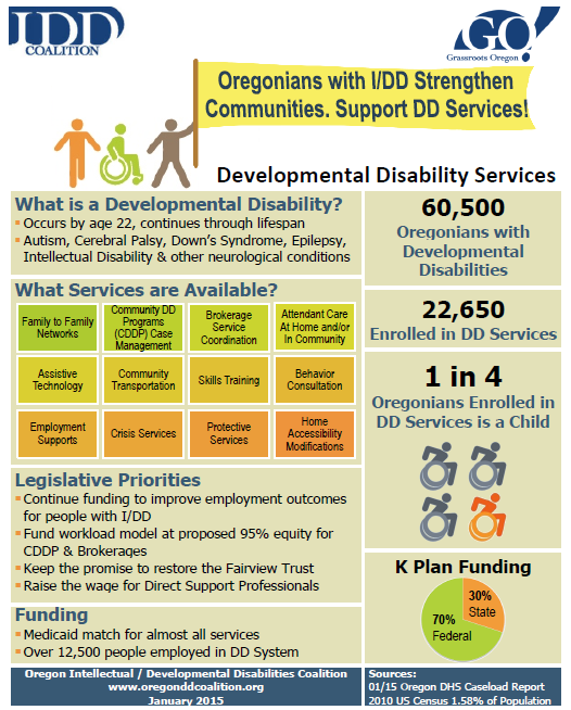 DDCoalition's tweet photo. We are proud to reveal our redesigned DD Services Fact Sheet for the 2015 Legislative Session! http://t.co/54vxTZyJhX http://t.co/dLvn0zO8tD