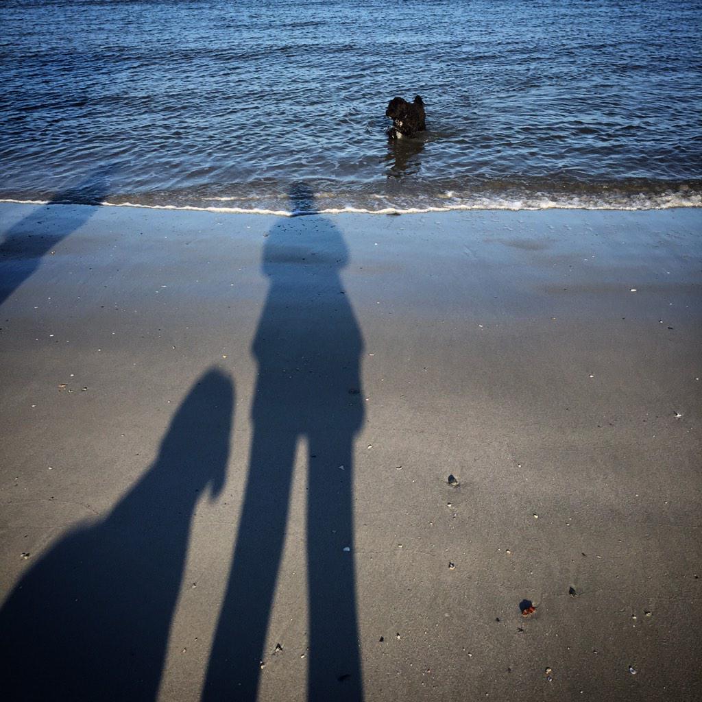 DayleThomas5's tweet photo. Afternoon dog walk island style #ilovehiltonhead #hiltonheadisland http://t.co/pYdYDjV1hW