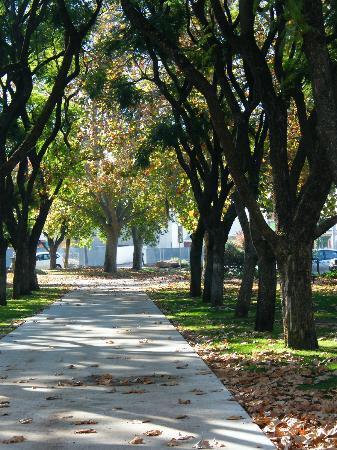 Take the one you love out to one of our beautiful parks in #Leeton for a picnic this #ValentinesDay💑