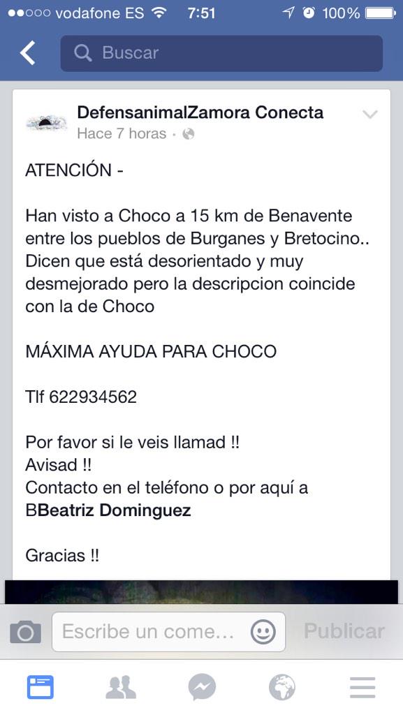 behindanimals's tweet photo. Atención #Benavente, #Burganés, #Bretocino. Se ha visto x aquí a Choco, si lo ves llama!! O cógelo! @DefensaAnimalZA http://t.co/7MOsXnwaQC
