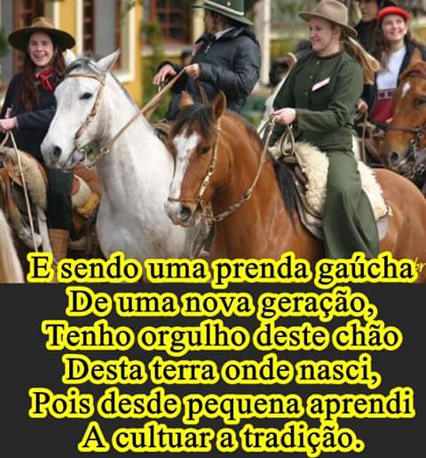 Cavalos de Rodeio ○ Treinamento da Pro Horse 