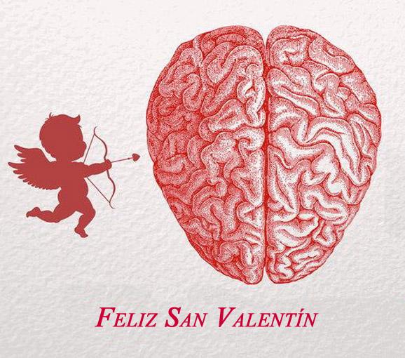 jralonso3's tweet photo. Basta ya de dibujar corazones según la iconografía medieval. El amor está en el cerebro. http://t.co/KiPIwY0gva