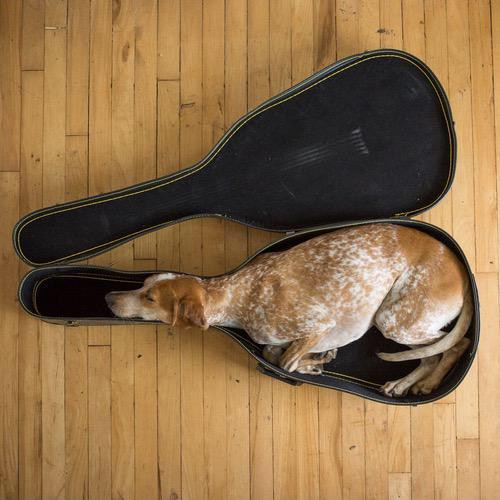SimonShinerock's tweet photo. The Art of Improvisation http://t.co/NJWRwqiH8z http://t.co/lCSj4HtmRt