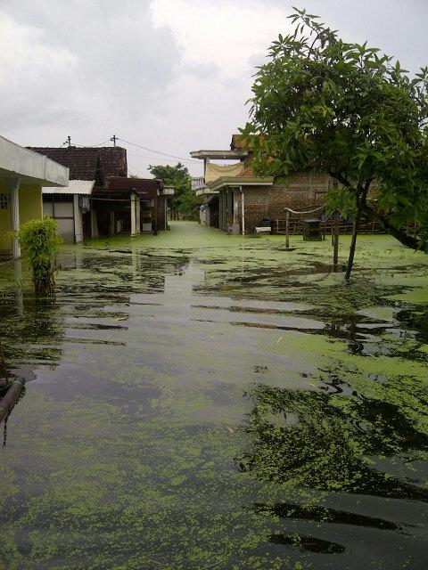 chypenk_nitnot's tweet photo. @BanjirGresik banjir teko mane cermen lerek kedamean kelelep mane http://t.co/Hg0TuF6LtD