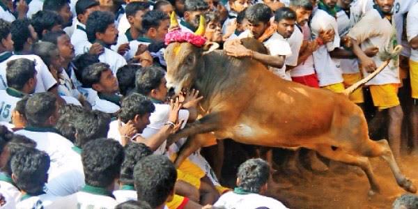 periyakulam's tweet photo. @6903Surya 
படங்களில் நமது கிராமத்து மண் வாசணை.
மிகவும் ரசித்தேன். http://t.co/xCGHOUiYCZ