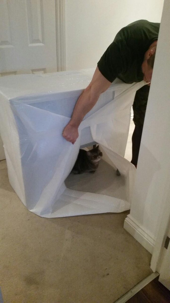 On #FridayThe13, it brings bad luck if you export pack the clients cat.