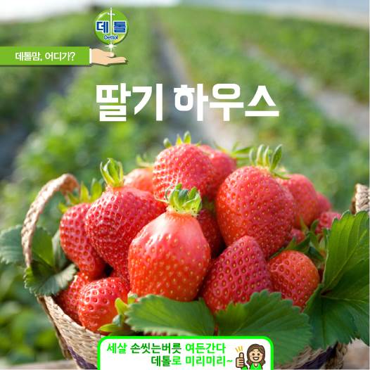 다음 주부터 #봄_방학 시작이지요. 짧은 봄 방학 뜻 깊게 보낼 계획 세우셨나요? 이번 주말에 아이들이 좋아하는 #딸기체험 은 어떠세요? #딸기 따고 나서 #데톨 로 깨끗하게 #손 씻는 거 잊지마세요~!^^