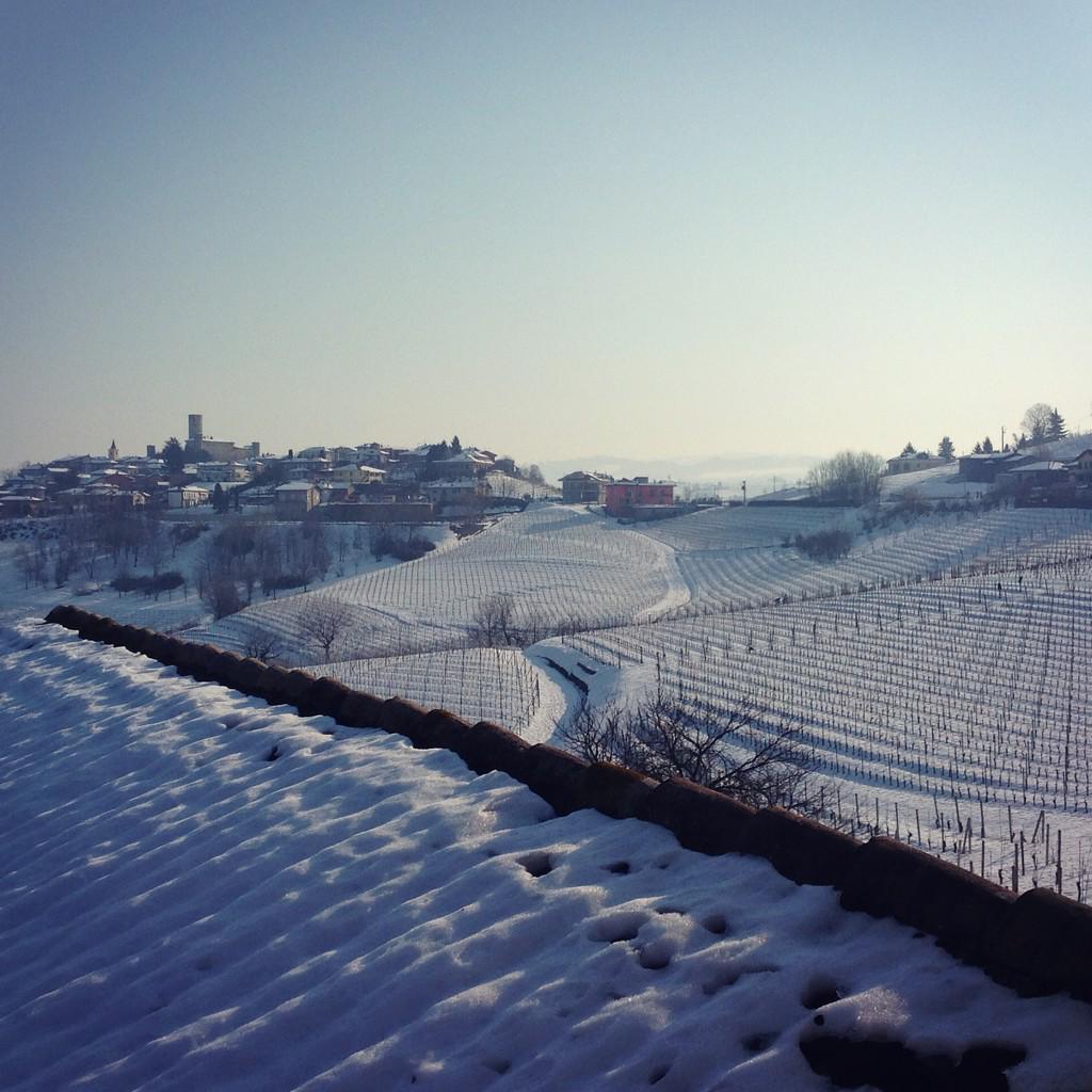 borolivini's tweet photo. Hello from our #winery #LaBrunella! @carriecoolidge @SofiaVoloWine @kiainga @mrtyncyr @Wine_Pass @_vivalitalia_ http://t.co/OVMZ76Fm8M