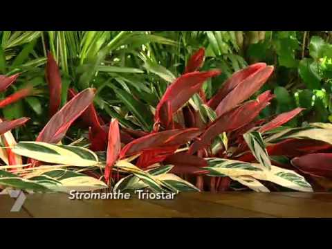 IntDesignLiving's tweet image. Better Homes and Gardens TV - Summer Retreat (part 2) vid.staged.com/CO2n #customliving #livingdesigns