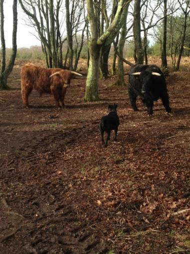 PLdecor's tweet image. Are you the gatekeeper?