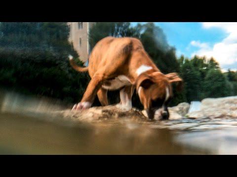 iphone'la fotoğraf çekmeyi sevenlerin bilmesi gereken 7 fotoğraf çekme ipucu ve hilesi. 
iblogtr.com/iphonela-7-fot…