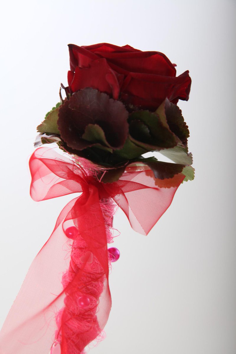 ValentionF's tweet image. #Valentijn #Valentine Single flower
4.95
Voor meer Valentijns bloemen bezoek onze website: valentinoflowershop.nl/valentijnsdag.…
