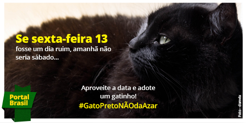 portalbrasil's tweet photo. #GatoPretoNÃOdaAzar, isso é puro preconceito!

Compartilhe essa ideia e tenha muita sorte hoje! ;) http://t.co/TnS9WDuBto