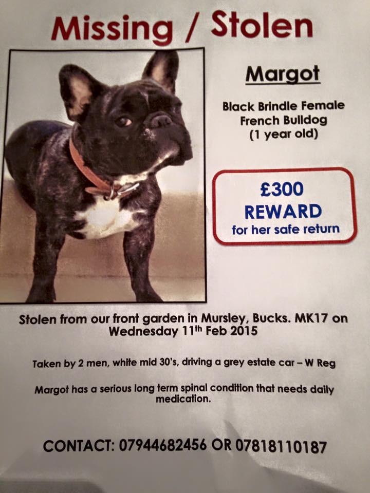 @DGoughie please share, Margo was stolen from a garden in Mursley, Bucks facebook.com/pages/Findmarg…