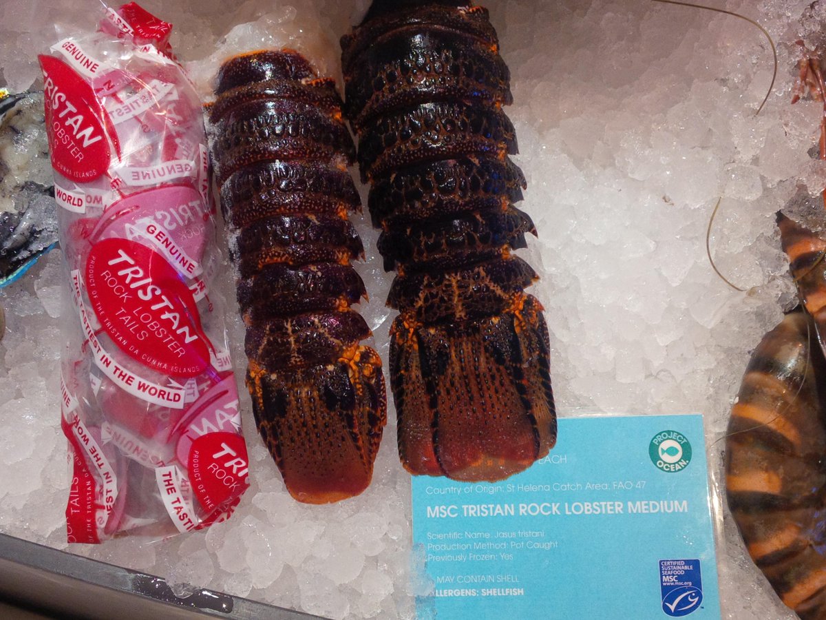 RT <a href="/SouthbankFish/">Southbank Fresh Fish</a>: UK Launch MSC Tristan Rock Lobster Tails at Selfridges #tristanlobster <a href="/SelfridgesFood/">Selfridges Food</a> <a href="/MSCintheUK/">MSC in the UK</a>