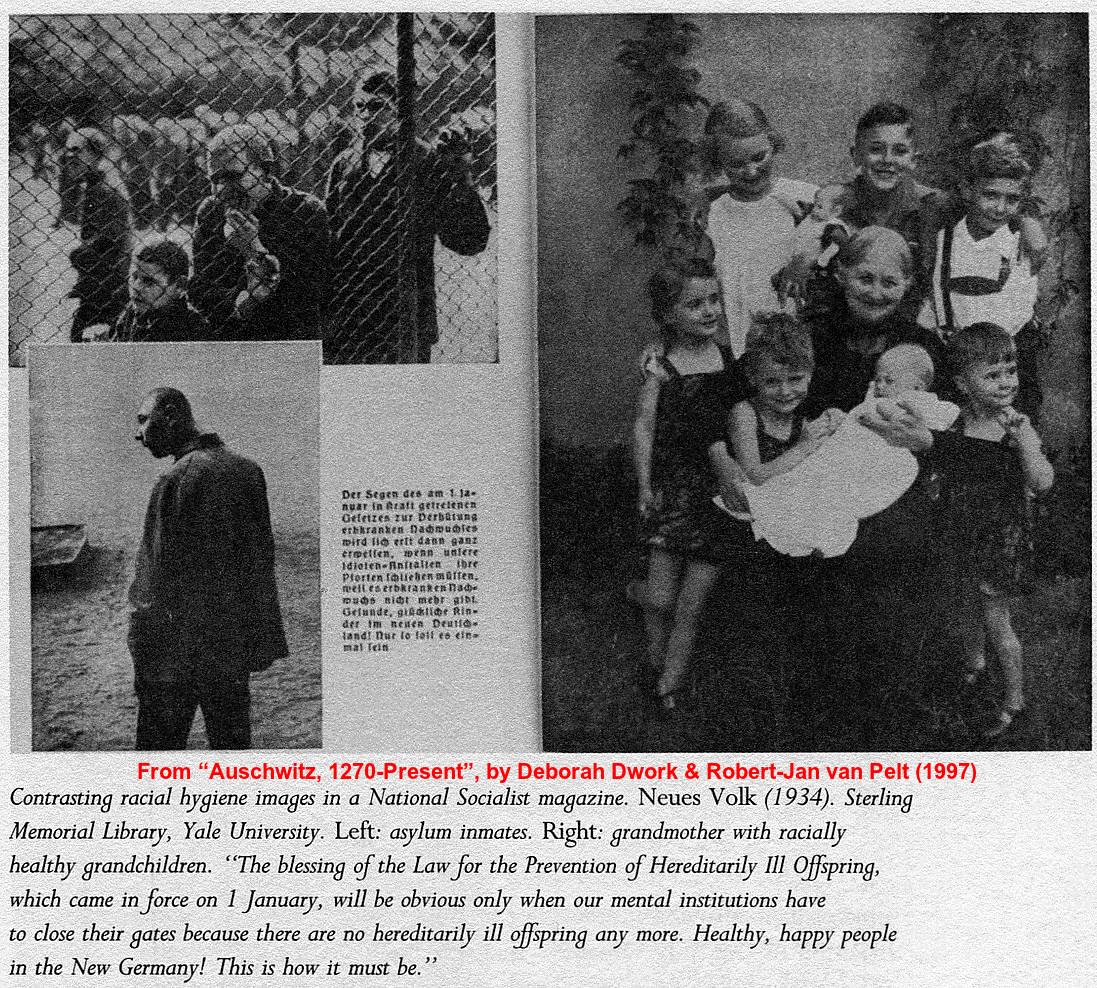 3rdReichStudies's tweet photo. #ForcedEuthanasia "Healthy happy people in the New Germany! This is how it must be!" Nazi Ragazine BS—Dwork/van Pelt http://t.co/iYwN0rBxmC
